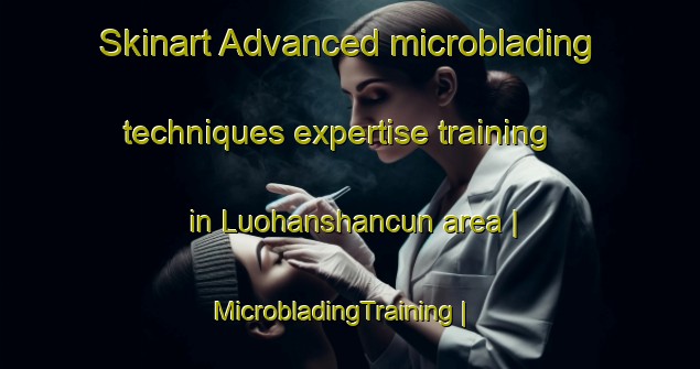 Skinart Advanced microblading techniques expertise training in Luohanshancun area | MicrobladingTraining | MicrobladingClasses | SkinartTraining-China